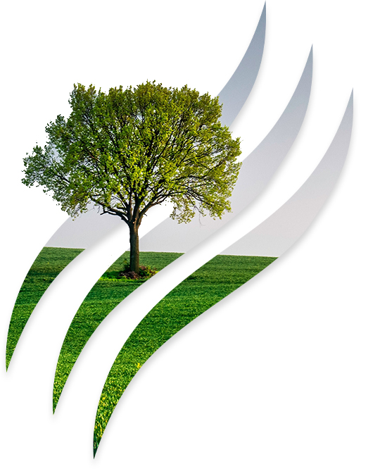 Sustainability at RTC