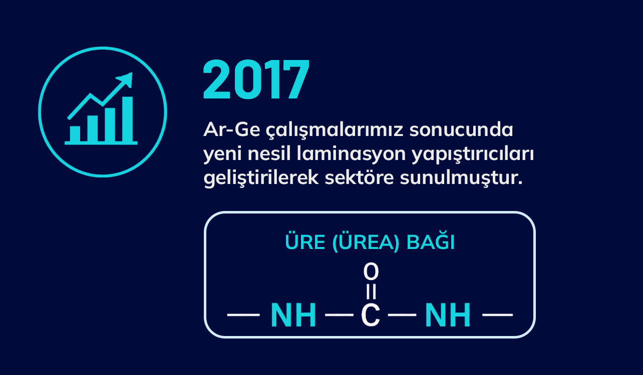 2017 detay görseli